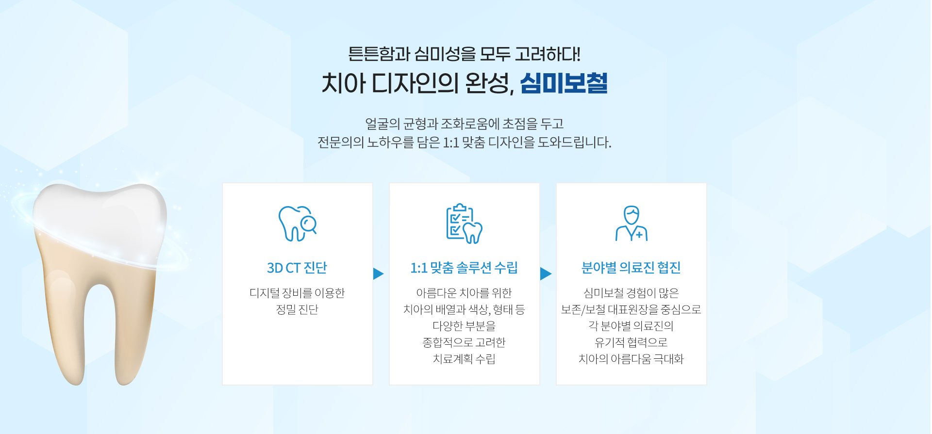 심미보철 - 치아 디자인의 완성